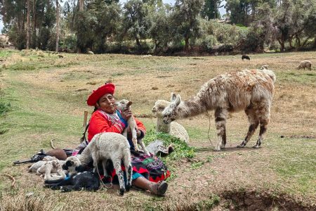 Peru – 15.08 – 29.08.2024