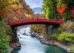 Ziua 13 (21.11.2024): Tokyo – timp liber. Sau, opțional, Nikko – Tokyo (excursie opțională, 80 euro)