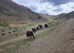 Ziua 10 (18.07.2025): Valea Yol