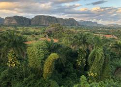 Ziua 3 (24.11.2025): Havana - Vinales