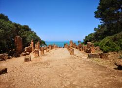 Ziua 4 ( 29.04.2025): Tlemcen - Tipasa - Alger