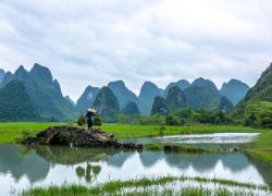 Ziua 9 (16.09.2025): Guilin - Croazieră pe Râul Li  - Yangshuo - Guilin