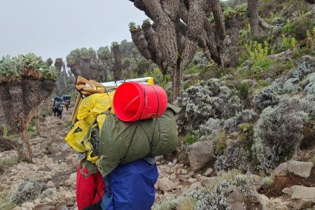 Circuit Kilimanjaro