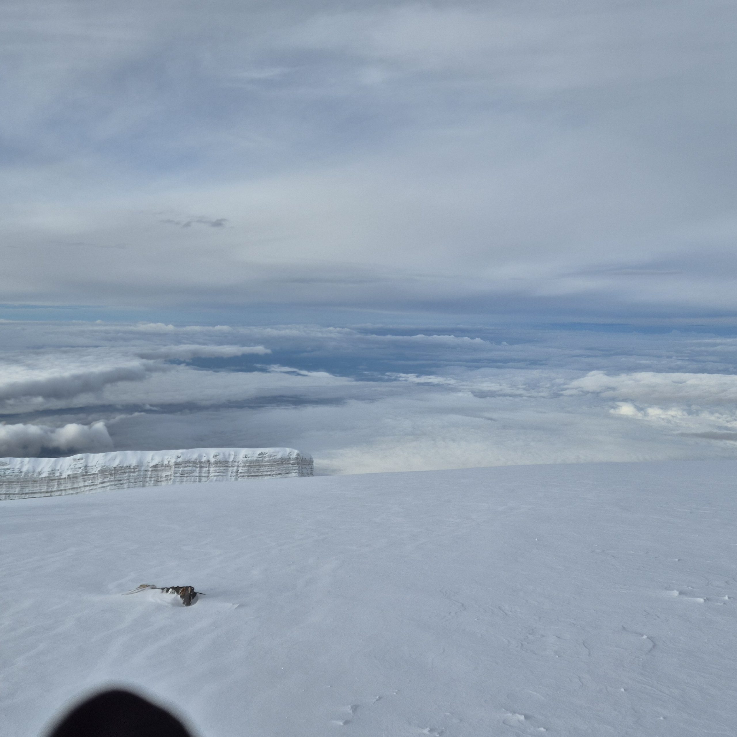 Circuit Kilimanjaro #2