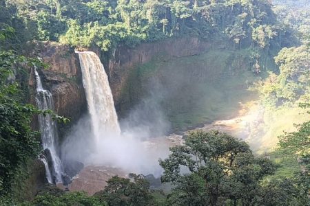 Cascadele Ekom-Nkam, Camerun